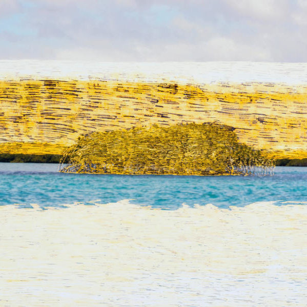 Horizont äquatorial 8, 2018