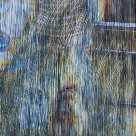 Hund 4, 2014