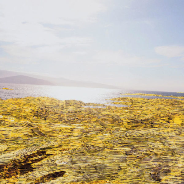 Horizont äquatorial 4, 2018