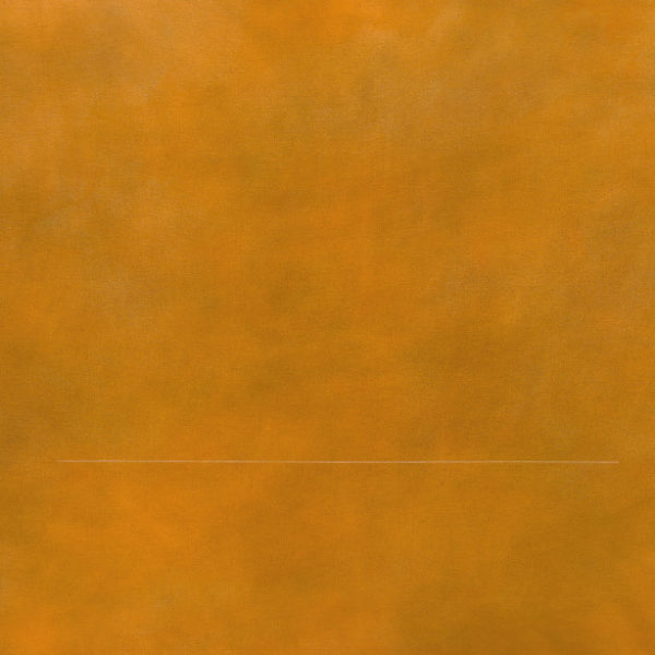 Horizont IX, 2018